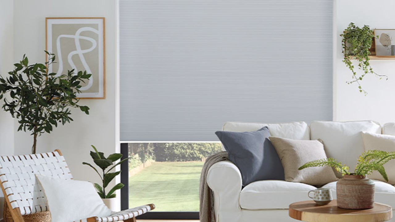 Cellular and Pleated Blinds