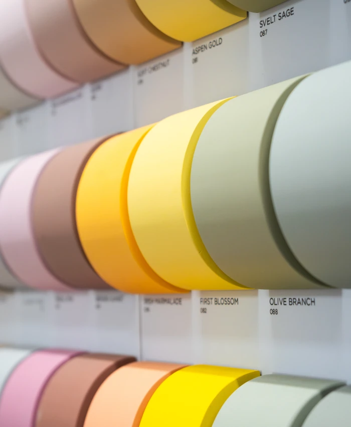 Paint example display
